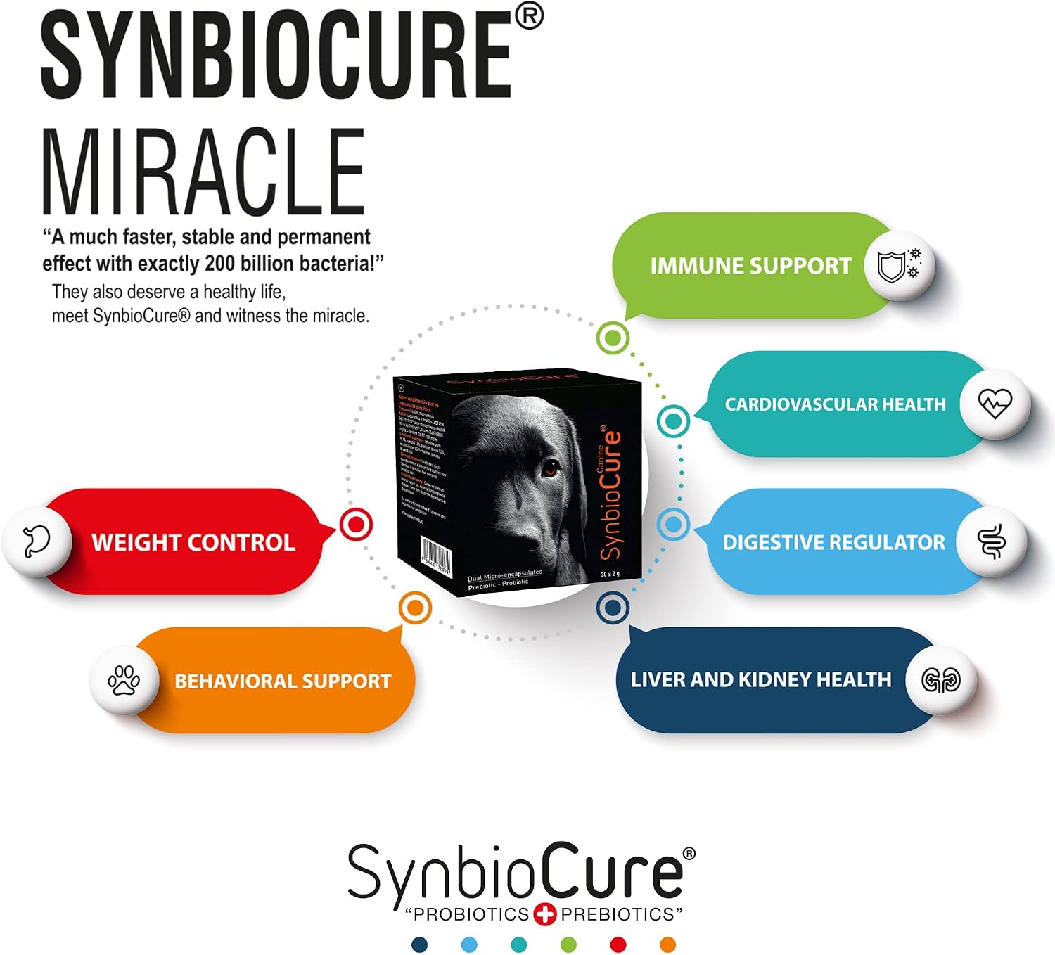 SynbioCure Probiotics & Prebiotics for Dogs - Powder Supplement with 200 Billion CFU - 30 Sachets - görsel 4
