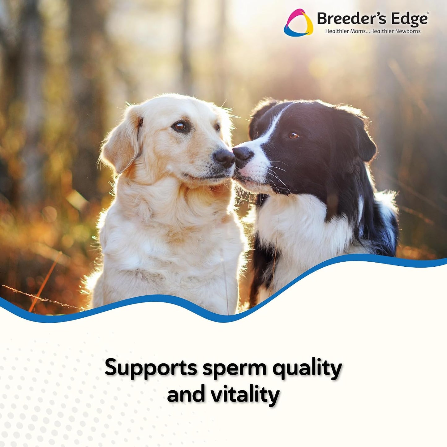 Breeder's Edge Problem Male Powder for Dogs & Cats, Supports Reproductive Health, Hormone Balance, Libido & Vitality, with Perna Mussel, 225 g - görsel 2