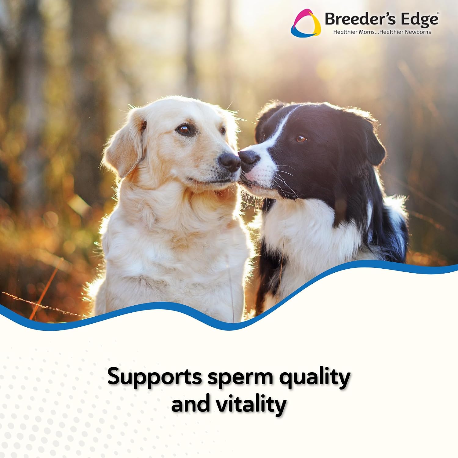 Breeder's Edge Problem Male Powder for Dogs & Cats, Supports Reproductive Health, Hormone Balance, Libido & Vitality, with Perna Mussel, 225 g - görsel 2