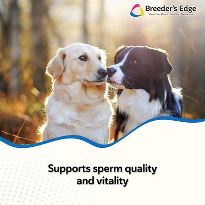 Breeder's Edge Problem Male Powder for Dogs & Cats, Supports Reproductive Health, Hormone Balance, Libido & Vitality, with Perna Mussel, 225 g