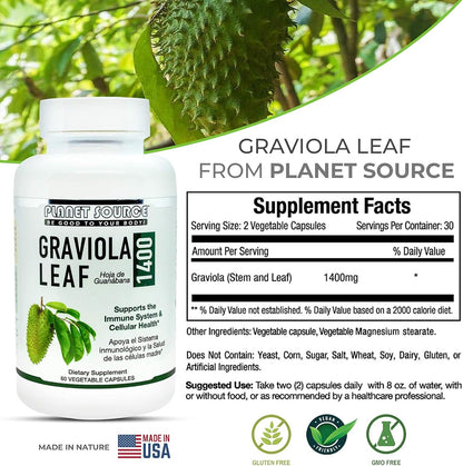 Graviola Leaf – Annona Muricata Soursop – Traditional Herbal Supplement – Natural Antioxidant – 60 Vegetable Capsules (1400mg)