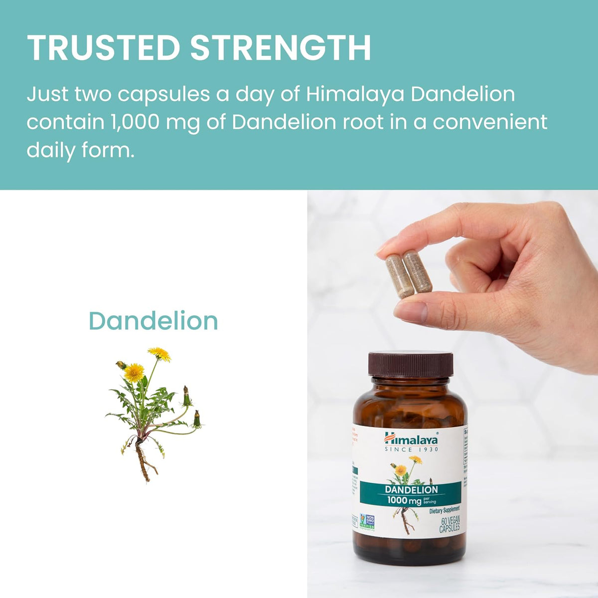 Himalaya Dandelion Root Supplement - 1000 mg, 60 Capsules - Vegan & Gluten-free - görsel 6