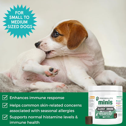 Progility Mini Allergy & Immune Supplement for Small to Medium Dogs – Advanced Immune Support for Everyday Wellness & Seasonal Sensitivities, Soft Chews (60 Count)