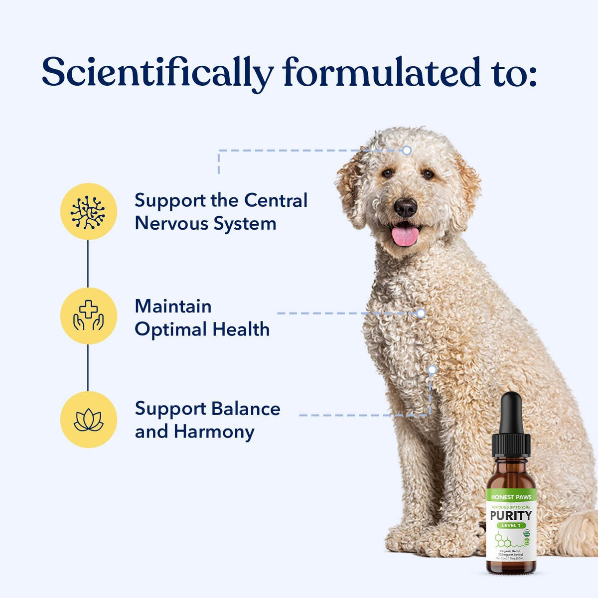 Hemp Oil for Dogs – Natural Hemp Seed Oil Calming Purity Drops - görsel 2