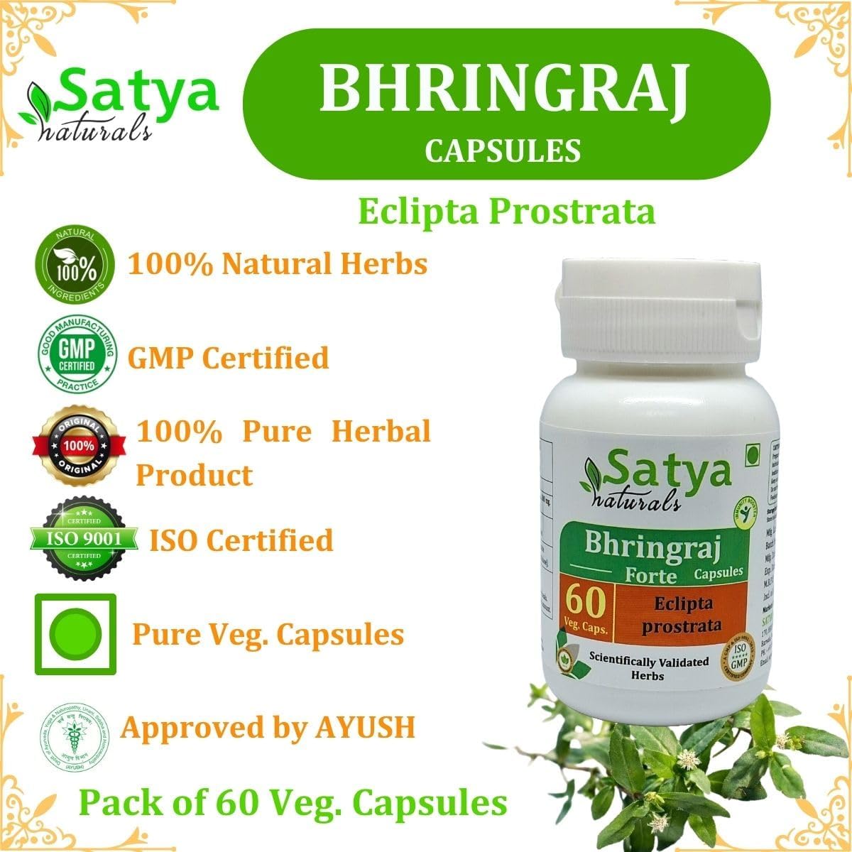 Bhringraj Capsules 500 mg, 60 Capsules (Pack of 4) - görsel 7