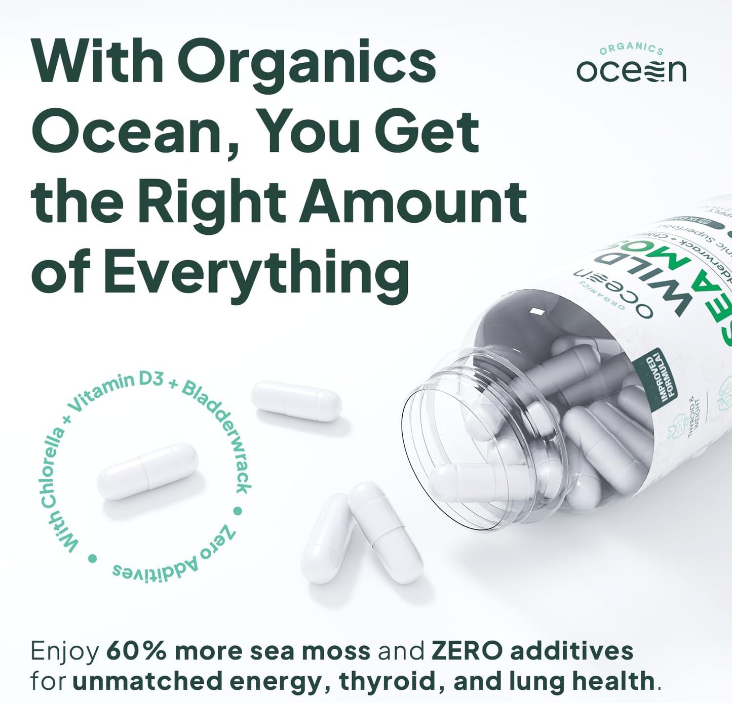 Organics Ocean Wild Sea Moss Capsules - 100% Organic Irish Sea Moss with Organic Chlorella, Bladderwrack and Vitamin D - 6 Bottles - görsel 3