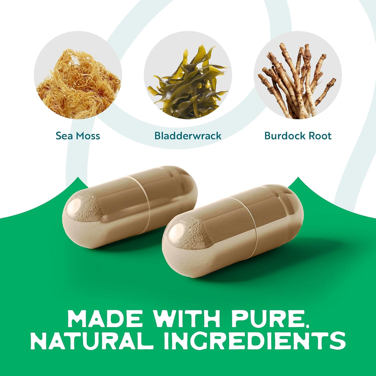 Herbal Vineyards Organic Wildcrafted Vegetable Capsules - Irish Sea Moss, Bladderwrack, and Burdock Root - 1500mg, 60 Capsules - görsel 5