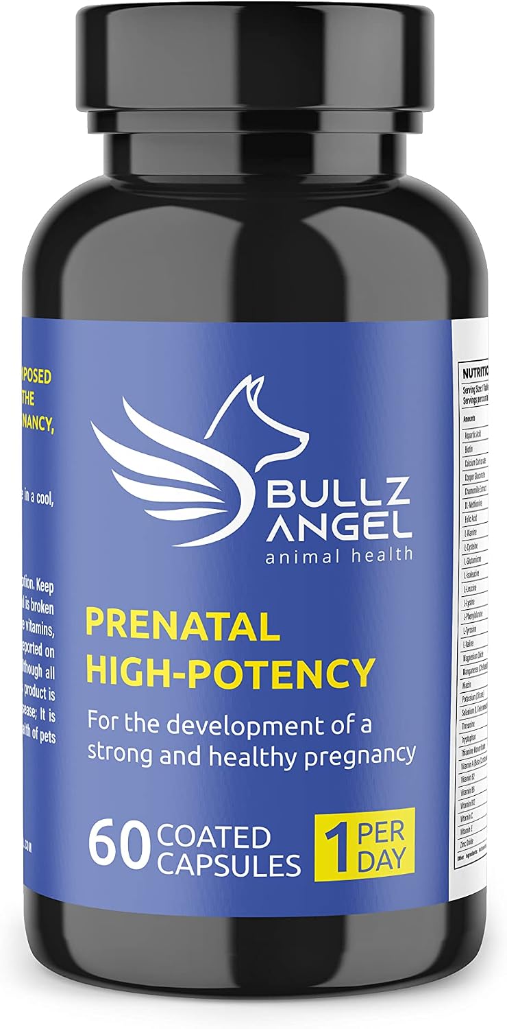 Prenatal High-Potency - görsel 1