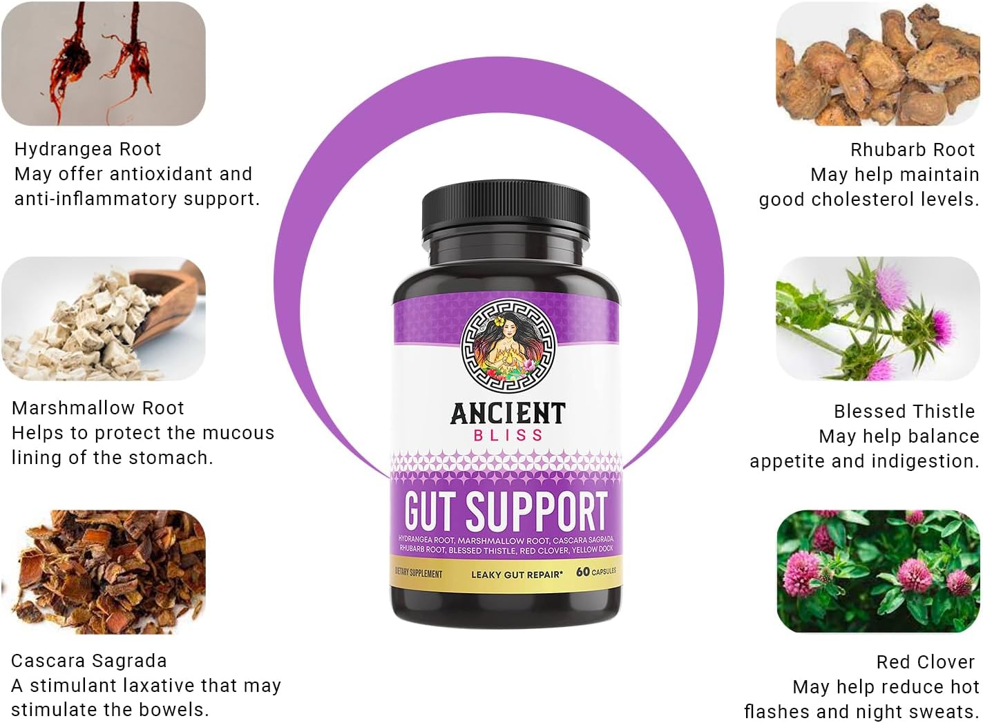 Ancient Bliss Leaky Gut Supplement – L-Glutamine Capsules with Blessed Thistle & Hydrangea Root – Vegan, Non-GMO – 60 Capsules - görsel 3