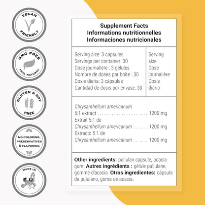 Supersmart Chrysantellum Americanum 1200mg per Day - High Strength Herb Supplement - 90 Vegetarian Capsules