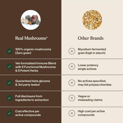Real Mushroom Immune Pet Chews – Daily Digestive & Immune Support for Dogs and Cats (60 Chews)