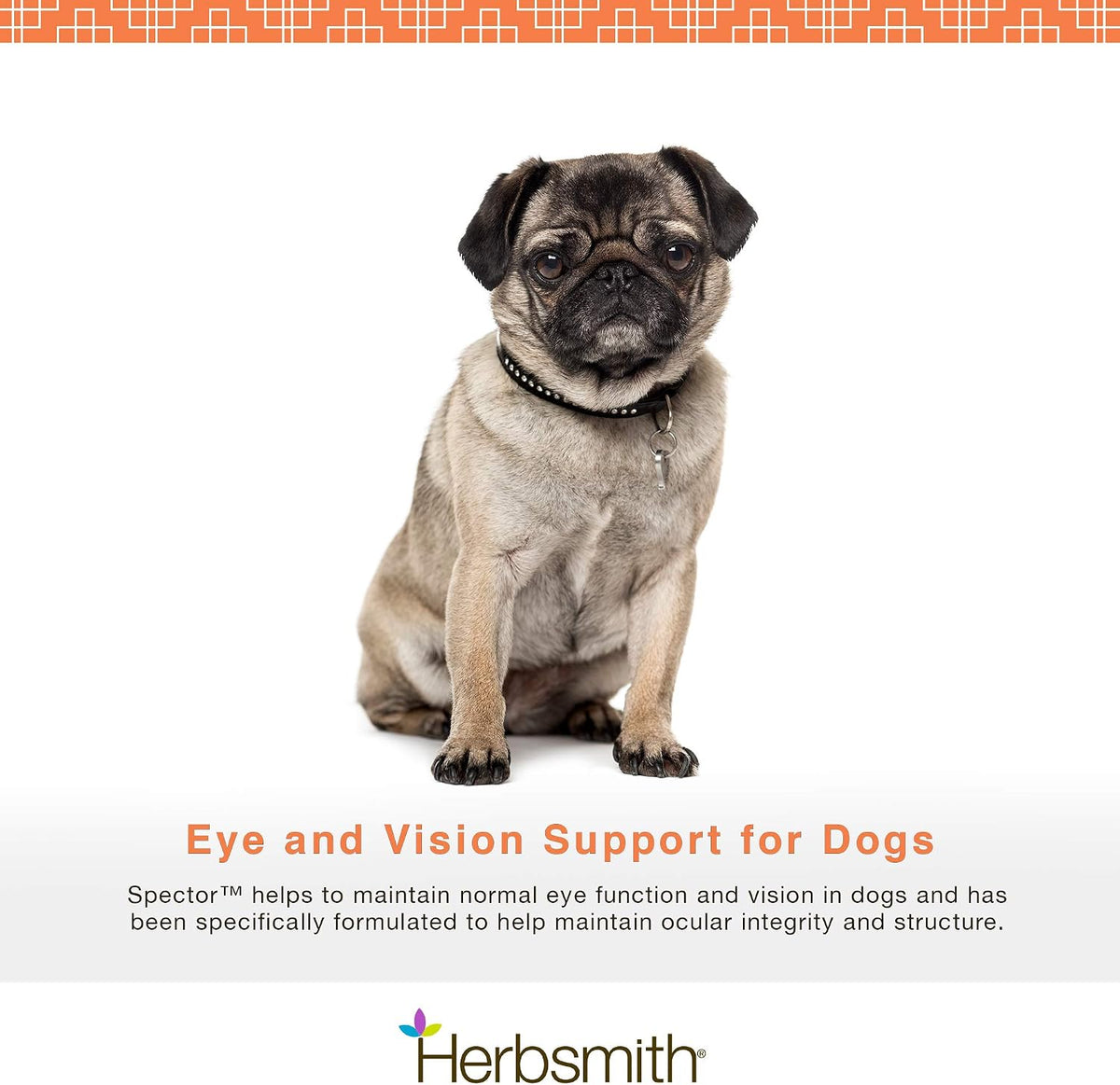Herbsmith Spector - Eye & Vision Support for Dogs - Antioxidant Supplement - 60 Large Chews - görsel 2