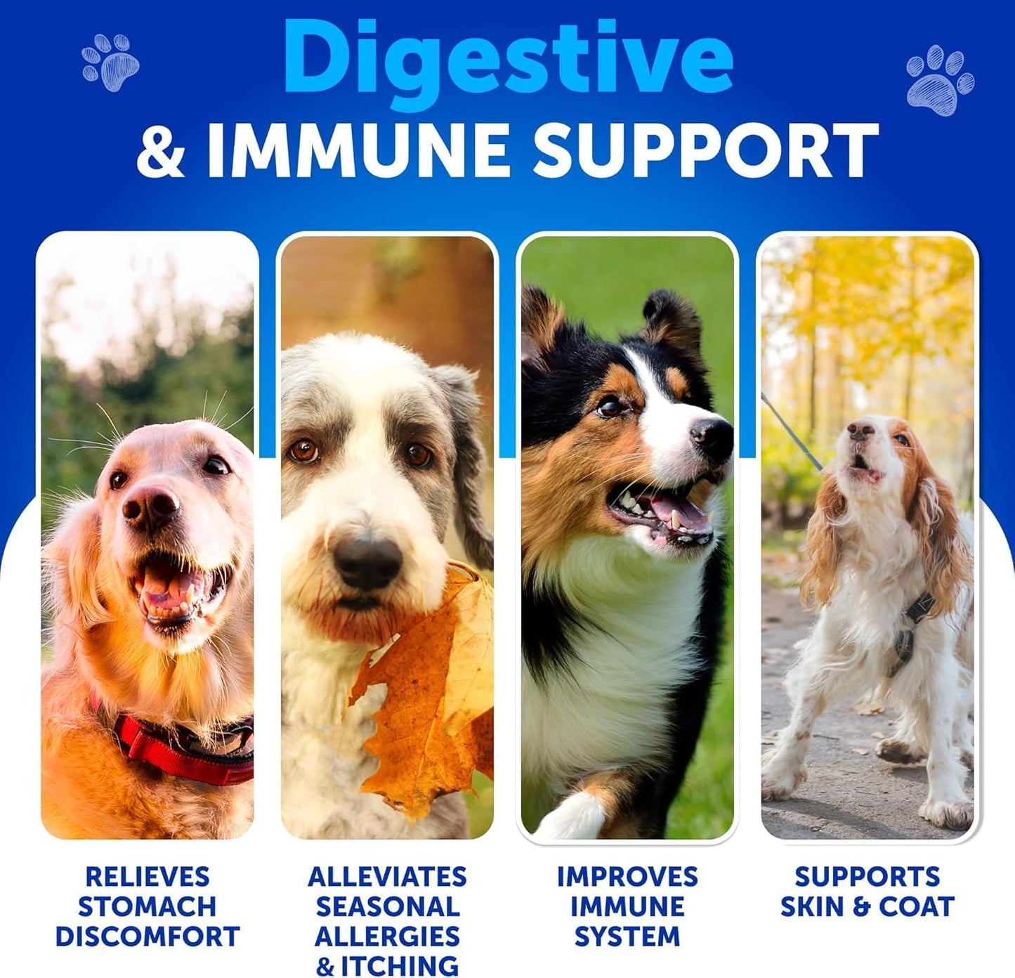 Probiotics for Dogs – Support Gut Health, Itchy Skin, Allergies, Immunity, Yeast Balance – Digestive Enzymes with Prebiotics – 70 Chews - görsel 2