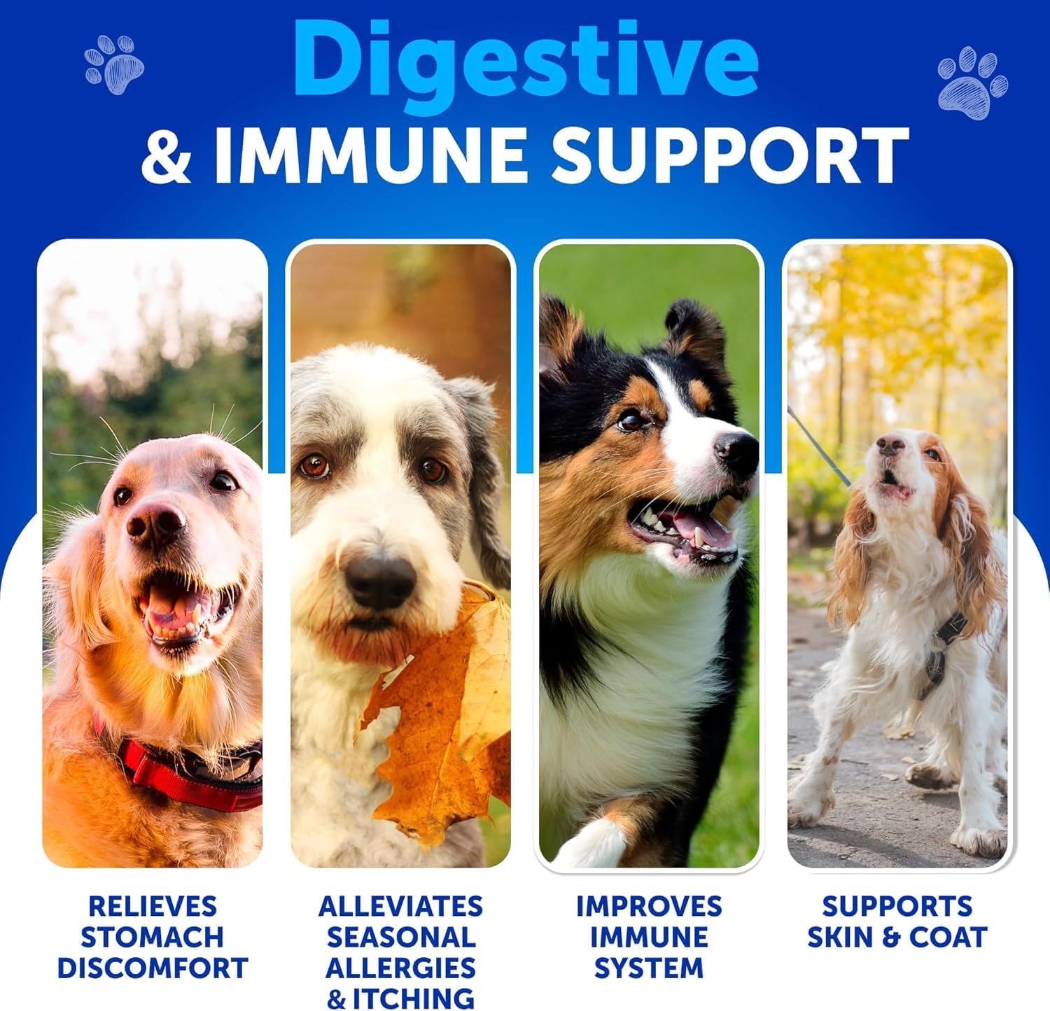Probiotics for Dogs – Support Gut Health, Itchy Skin, Allergies, Immunity, Yeast Balance – Digestive Enzymes with Prebiotics – 70 Chews - görsel 2