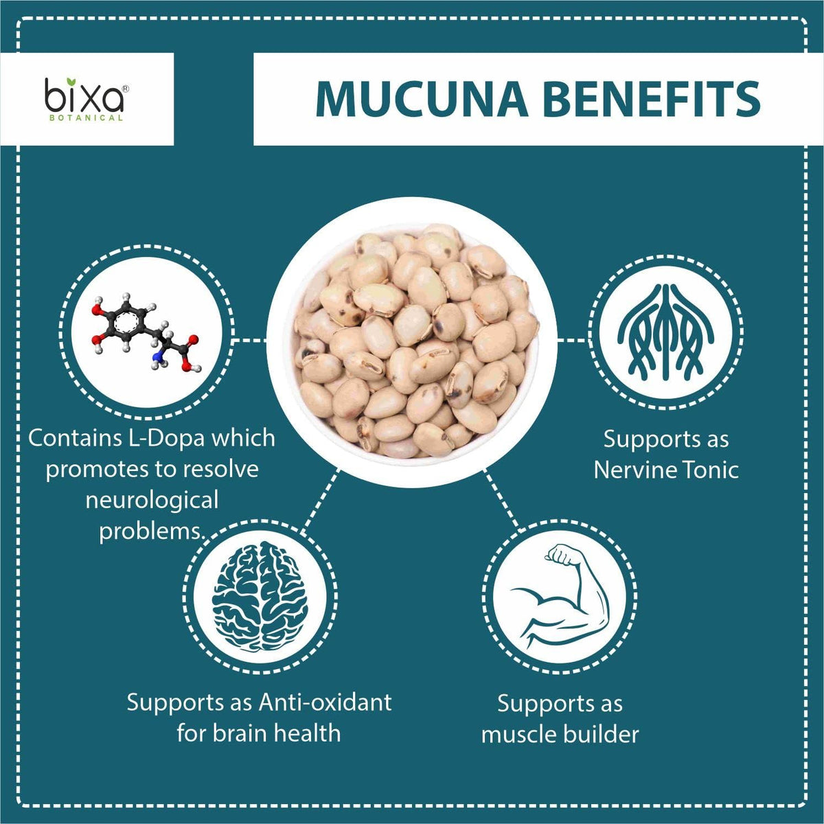 bixa BOTANICAL Mucuna Pruriens Powder – Velvet Bean – 454 g, Gluten-free, Non-GMO, Vegan - görsel 2