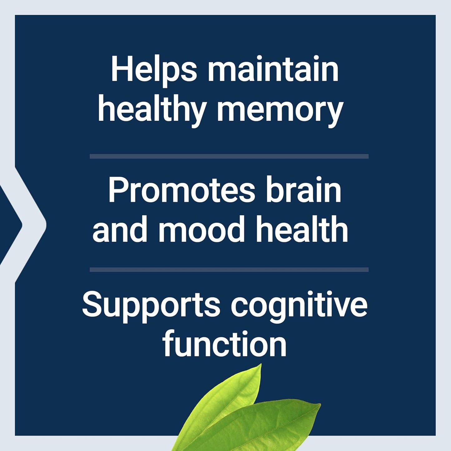 Life Extension Memory Protect – Dual-Action Memory Support with Lithium and Colostrinin, 36 Capsules - görsel 5