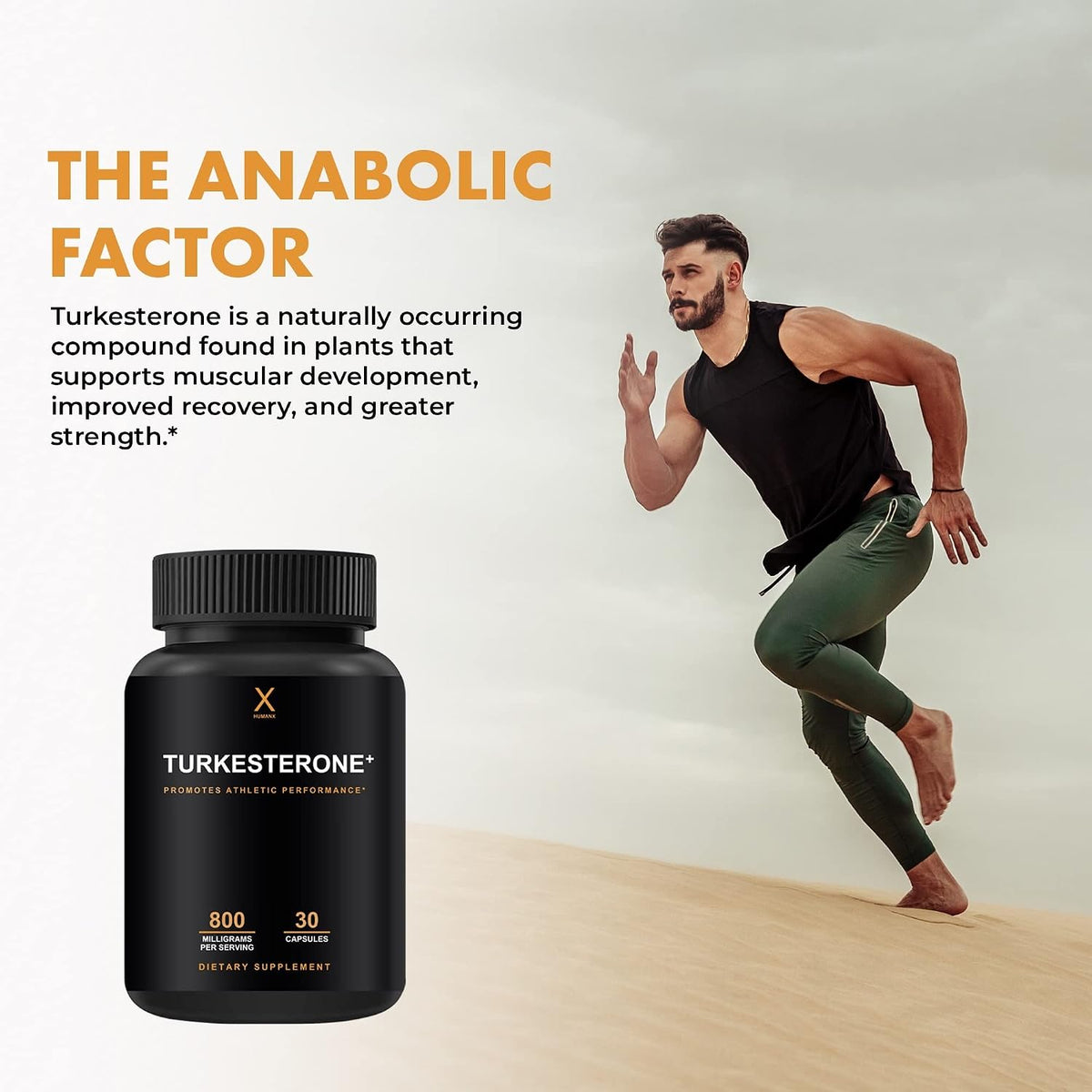 HUMANX Turkesterone+ 800mg with Liposome Matrix - Natural Anabolic Supplement for Muscle Development and Athletic Performance - görsel 3
