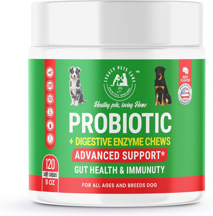 Probiotics for Dogs Soft Chews, 120 Chews – Complete Gut Care for Digestive & Immune Support | Probiotics for Digestive Health | Pet Probiotics 255 g Jar - Probiotic for Dogs