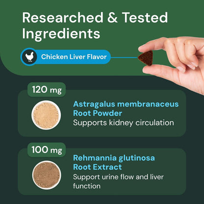 Vetriscience Veterinary Strength Kidney Health Chews - Balanced Kidney Support for Pets - Feline & Canine Renal Support - Holistic Formula - Chicken Liver Flavour - 60 Count