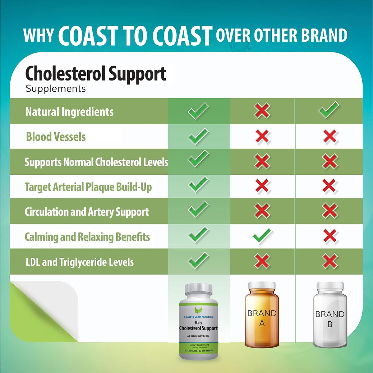 Coast to Coast Nutrition Cholesterol Support Supplement – 60 Capsules - görsel 5