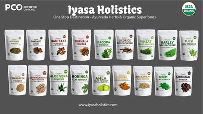 Iyasa Holistics Organic Amla Powder 454g (16 oz) - USDA Certified Organic Indian Gooseberry Superfood