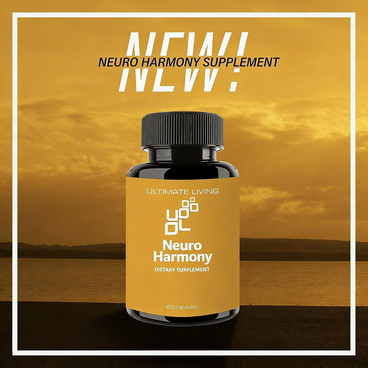 Neuro Harmony - Focus, Concentration and Mood Support - Non-GMO, Vegan, Gluten-Free - 60 Capsules - görsel 4