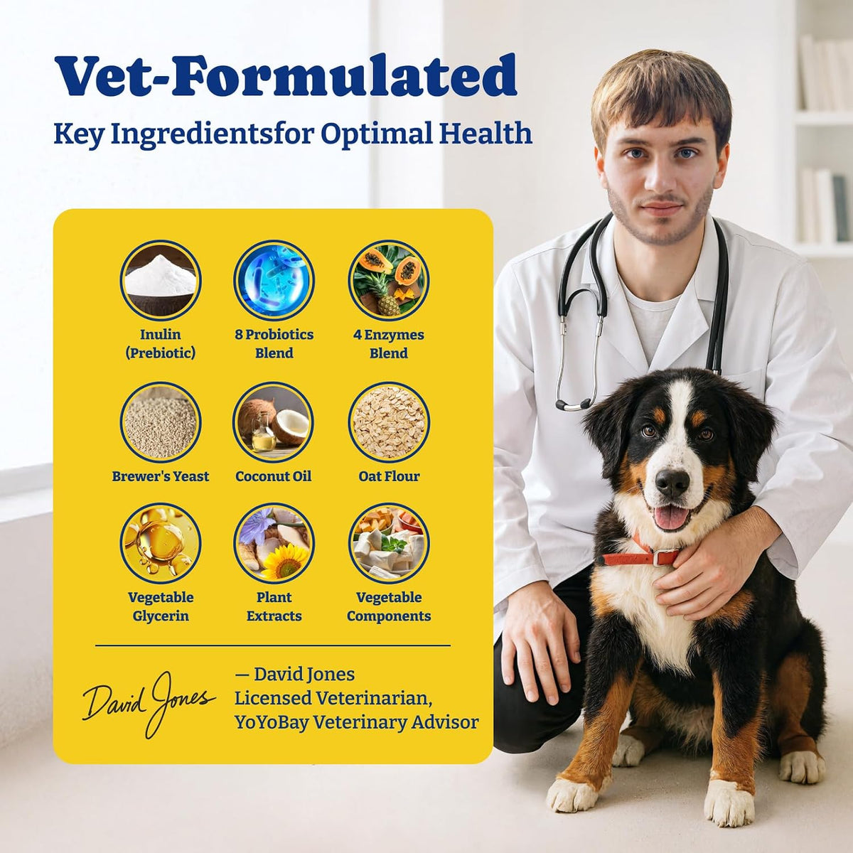 YoYoBay Probiotics for Dogs - 6 Billion CFUs, 180 Soft Chews, Salmon & Blueberry Flavour - görsel 2