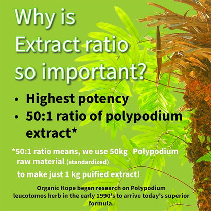 Kalawalla Organic Hope High Potency Polypodium Leucotomos Immune Support