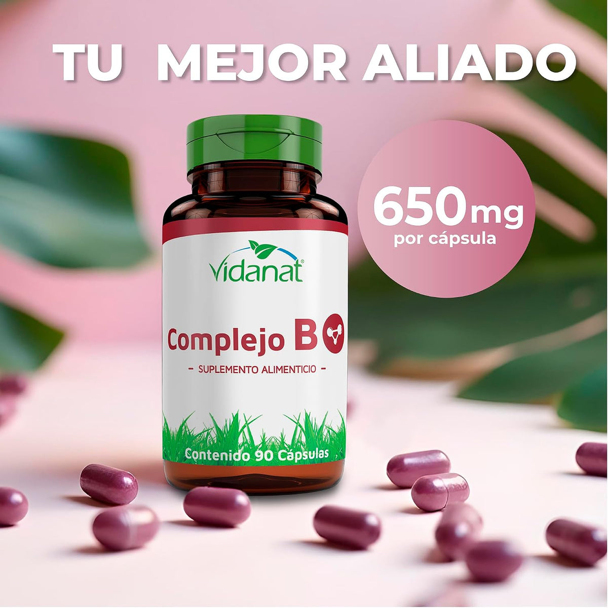 Vidanat Complex B 90 Capsules – Essential B Vitamins for Energy, Nervous System & Immune Health - görsel 4