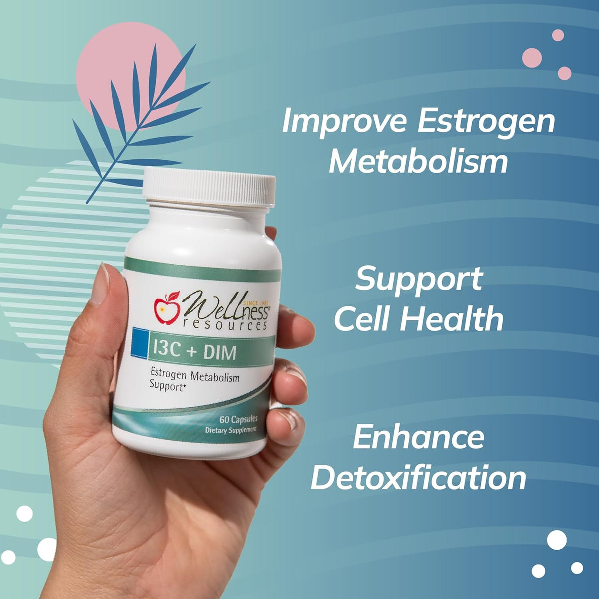 Wellness Resources I3C + DIM: Oestrogen Metabolism & Detoxification Support (60 Capsules) - görsel 2