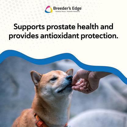 Breeder’s Edge In Between For Him – Daily Multivitamin for Male Dogs and Cats, 90 Count