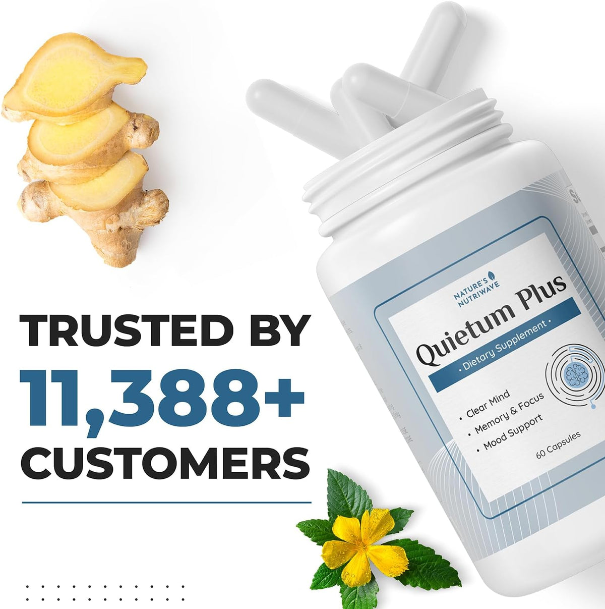 Quietum Plus – Herbal Extract Capsules – 60 Capsules - görsel 6