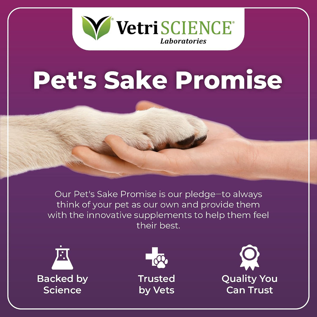 VetriScience Immunity Health Immune Plus Supplement for Small Dogs – Easy-to-Open Capsules with Antioxidants, CoQ10 and Vitamins (60 Capsules) - görsel 6