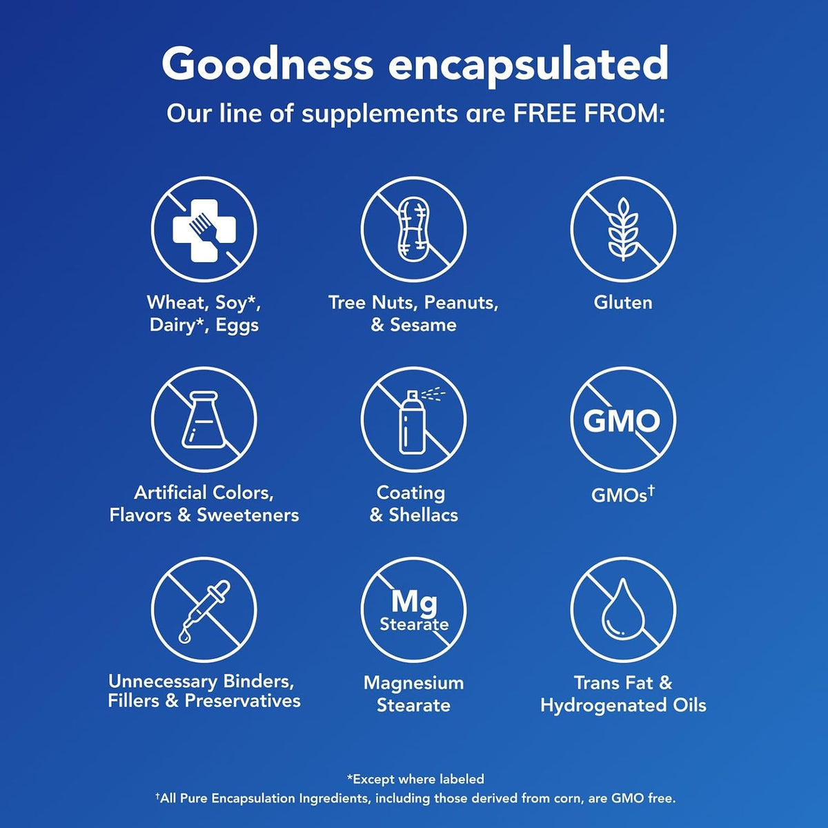Pure Encapsulations PureDefense with NAC – Immune and Respiratory Support – 20 Capsules - görsel 5