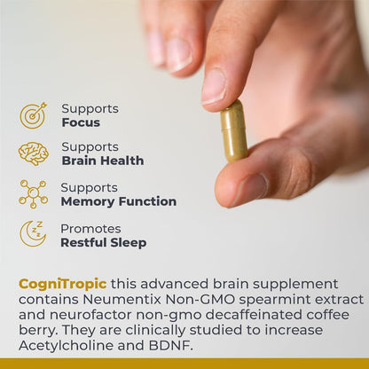 Premier Research Labs CogniTropic - Brain Supplement to Support Memory and Focus (120 Vegetarian Capsules)