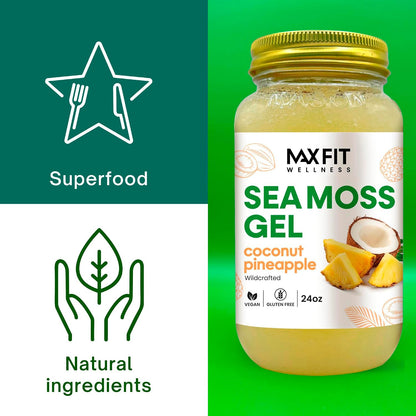 Sea Moss Gel Raw Coconut Pineapple (25 Flavours) 24oz Wildcrafted Gold Sea Moss Gel from Saint Lucia | 92 Vitamins and Minerals | Pure Raw + Non-GMO