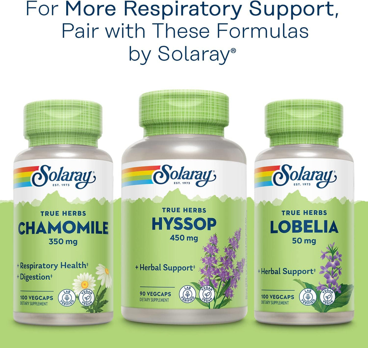 SOLARAY Mullein Leaf 330mg Vegan Capsules - Traditional Support for Respiratory and Bronchial Health (Pack of 2, 100 Capsules) - görsel 6