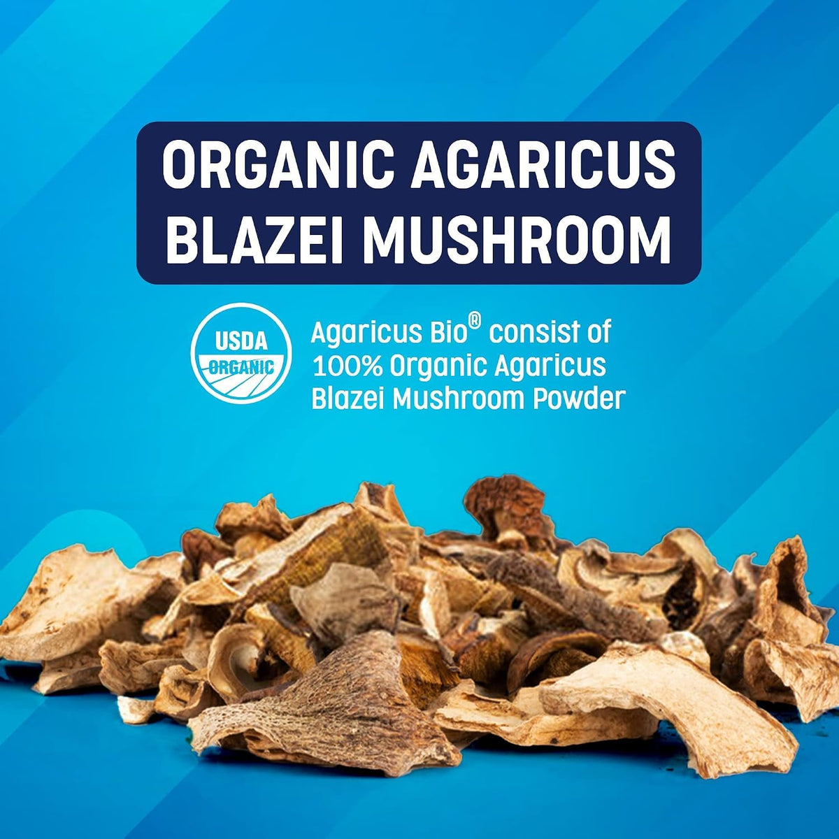 Agaricus Bio 300mg for Dogs and Cats – Beta Glucan Mushroom Pet Supplement, 60 Capsules - görsel 6
