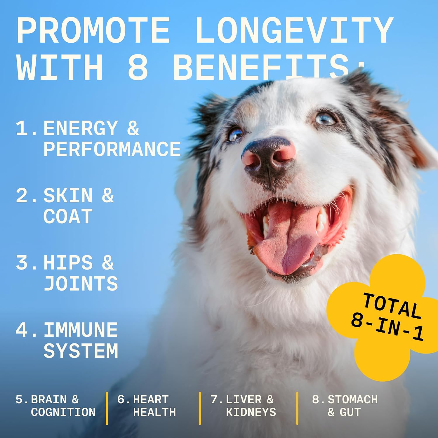 8-in-1 Dog Multivitamin – 100% Natural Supplement Powder with Colostrum for Healthy Skin, Joints & Energy – Made in USA – 30 Scoops - görsel 6