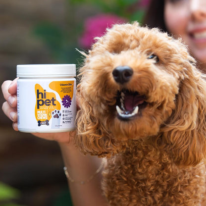Hi Pet Multivitamin Bites for Dogs - Soft Chews, Supports Immunity & Joint Health, 100g (Pack of 3)