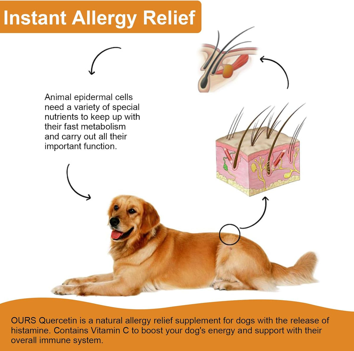 Quercetin for Dogs - Liquid Drops for Allergy Relief & Immune Support, 60 ml - görsel 2