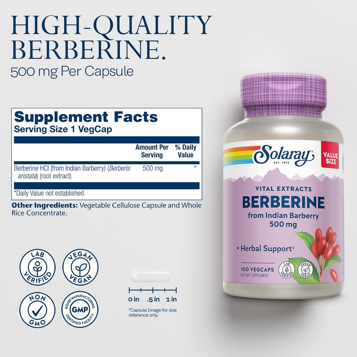 SOLARAY Berberine 500mg - Berberine HCl Food Supplement from Indian Barberry, Vegan, Non-GMO, 100 VegCaps - görsel 2