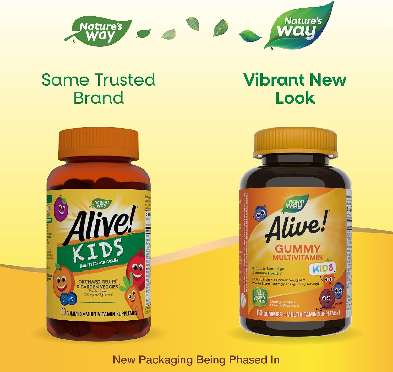 Nature's Way Alive! Kids Multivitamin Gummy, 60 Gummies - görsel 3