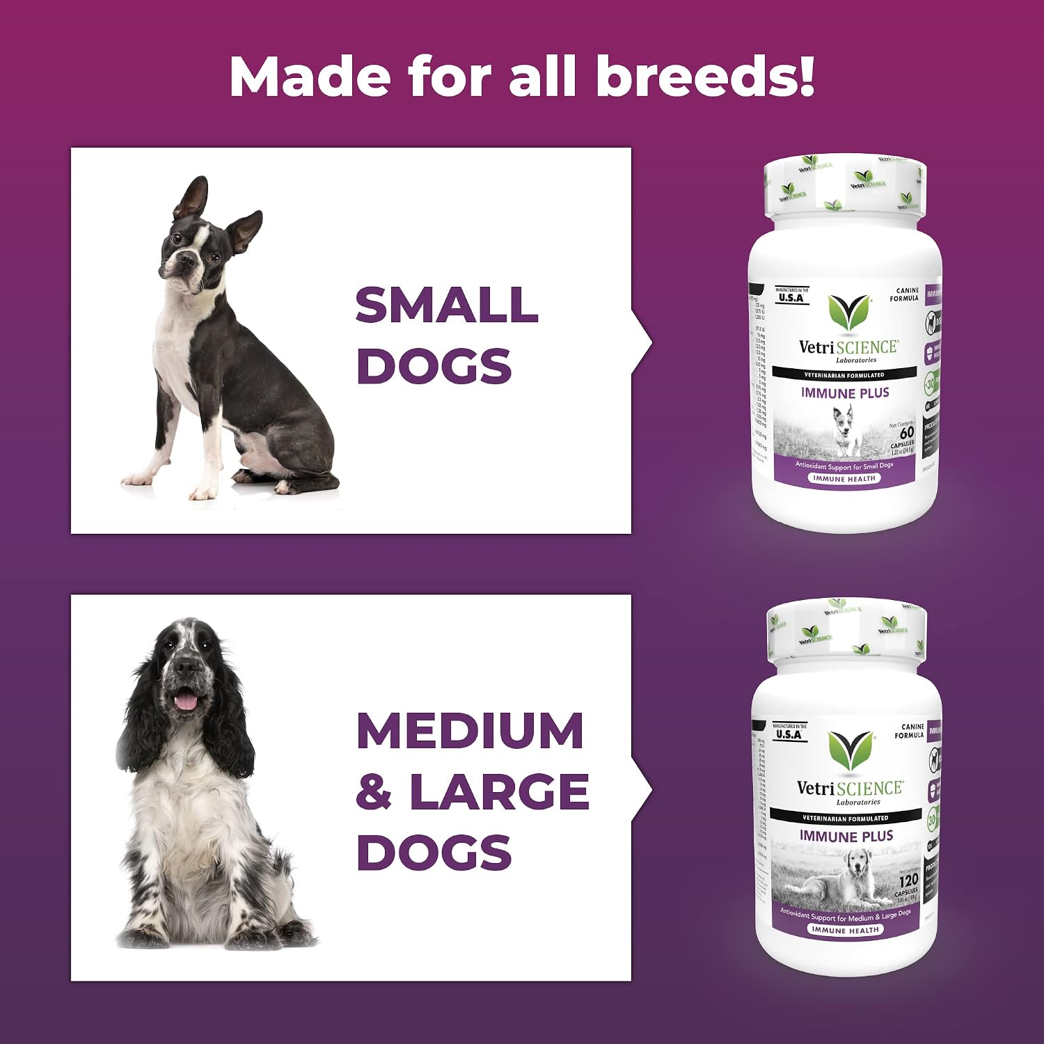 VetriScience Immunity Health Immune Plus Supplement for Small Dogs – Easy-to-Open Capsules with Antioxidants, CoQ10 and Vitamins (60 Capsules) - görsel 5