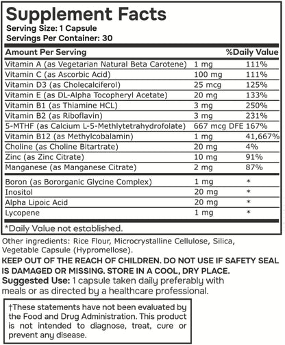 envitamin Methylated Multivitamin and Multimineral Complex with L-Methylfolate 2-Pack