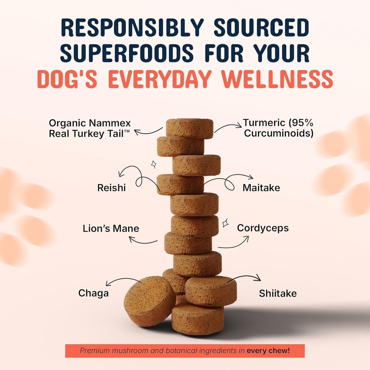 Turkey Tail Mushroom Chews for Dogs with Organic Real Turkey Tail™ – 8:1 Extract Blend (120 Chews) - görsel 7