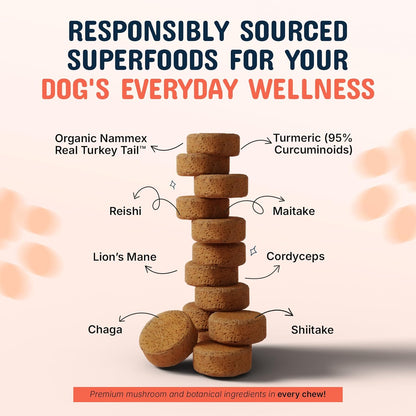 Turkey Tail Mushroom Chews for Dogs with Organic Real Turkey Tail™ – 8:1 Extract Blend (120 Chews)