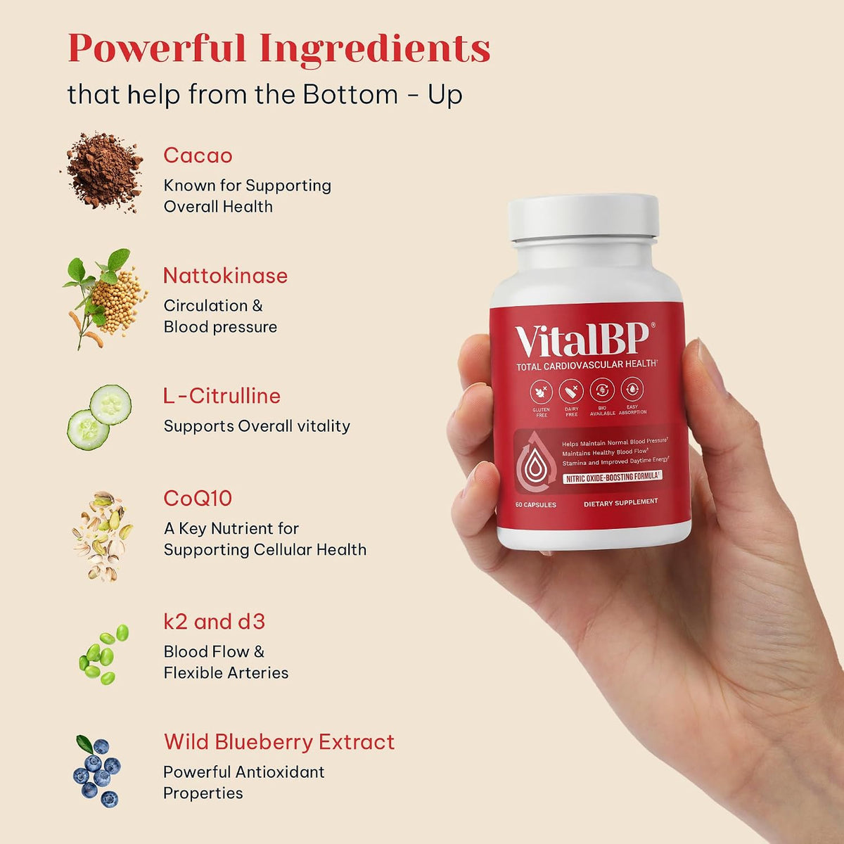 Vital BP – Support for Normal Blood Pressure with CoQ10, L-Citrulline, and K2 & D3 (60 Capsules) - görsel 3