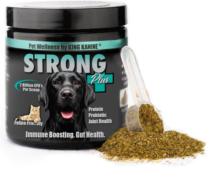 King Kanine Strong Plus Probiotic, Protein & Joints - Organic Powder for Dogs (170 g)