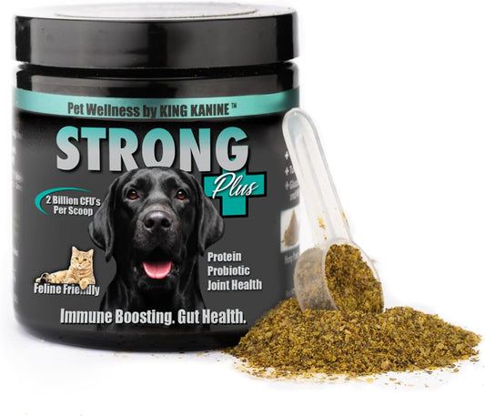 King Kanine Strong Plus Probiotic, Protein & Joints - Organic Powder for Dogs (170 g)